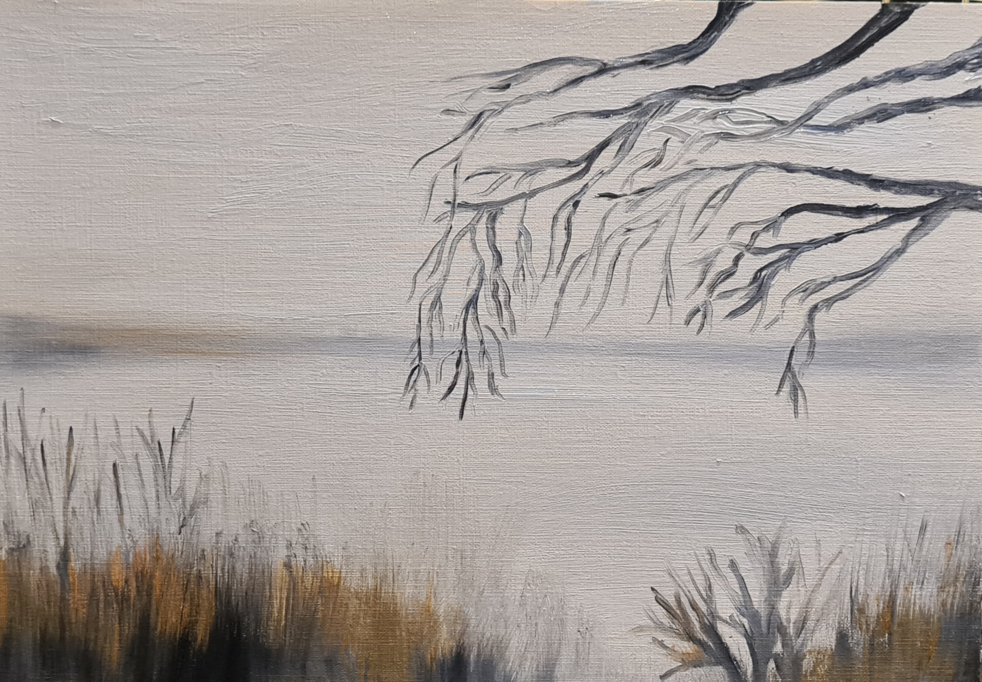 Fog